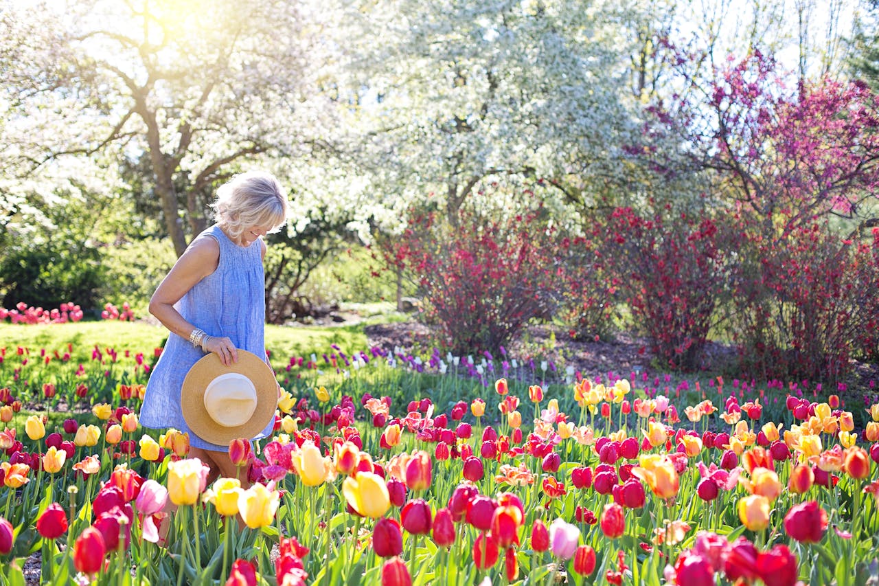 Gardens