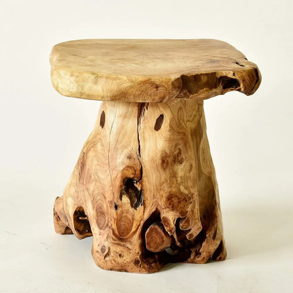 14" Tree Stump Stool Live Edge, Plant, Nightstand.