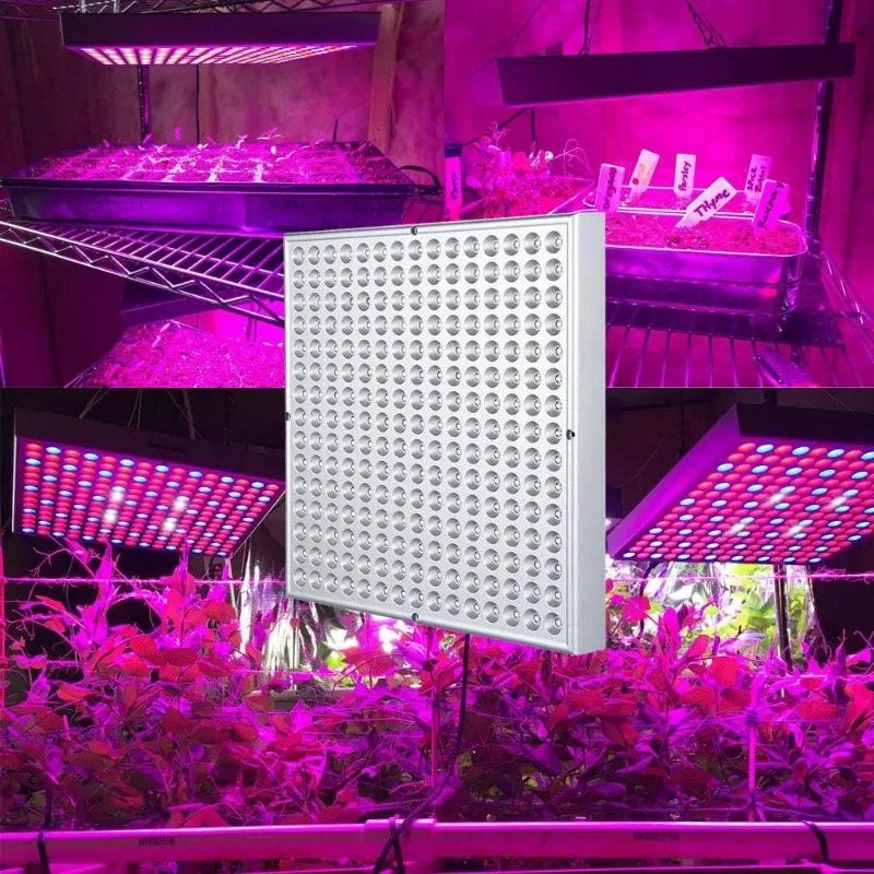 LED Grow Light, Red Blue White Panel Growing Lamps.