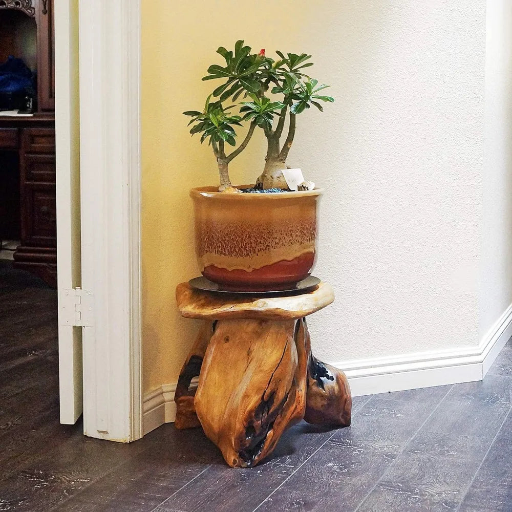 14" Tree Stump Stool Live Edge, Plant, Nightstand.