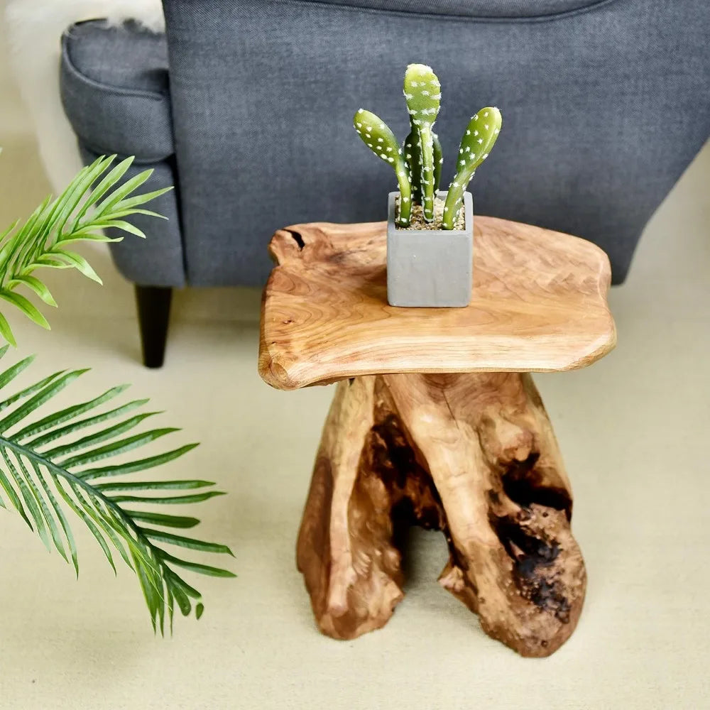 14" Tree Stump Stool Live Edge, Plant, Nightstand.